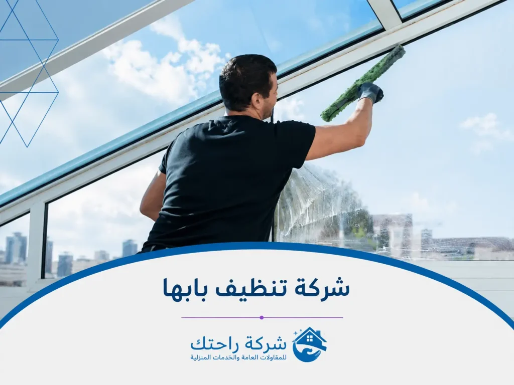 شركة تنظيف بابها