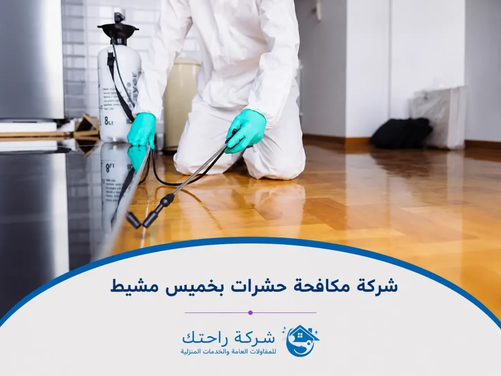 شركة مكافحة حشرات بخميس مشيط