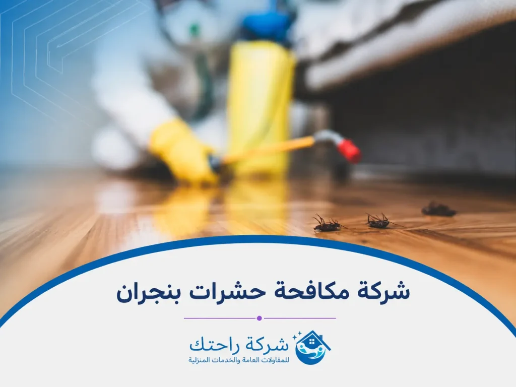 شركة مكافحة حشرات بنجران